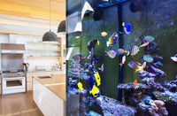 Southern California's leading saltwater service/maintenance company. We specialize in at home or business maintenance for saltwater fish tanks. Get a free quote today on how we can provide you with the best aquarium maintenance for your fish tank.   